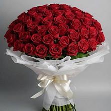 Букет 101 Красная роза Блэк Мэджик в Заболотье