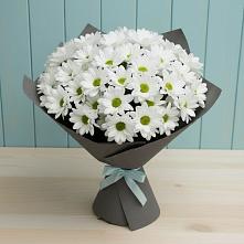 Букет цветов из:  Хризантемы в Заболотье