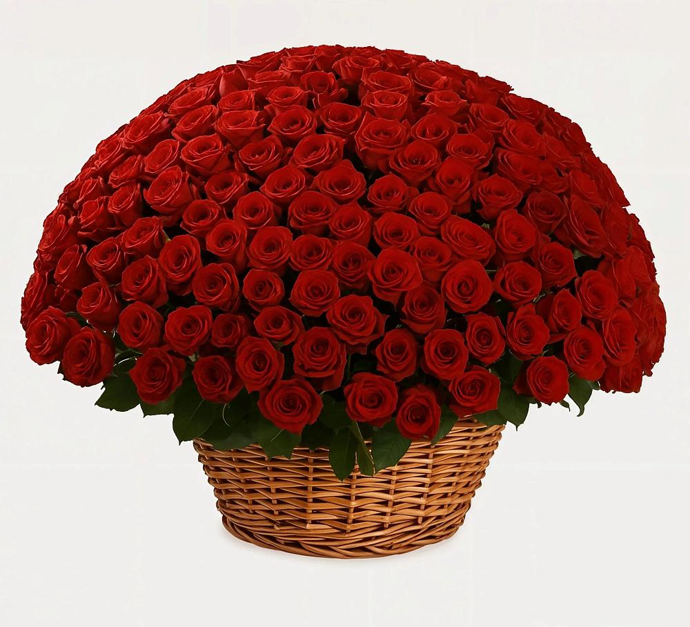 Премиум букет из: Розы в Заболотье