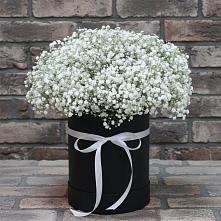 Цветочная композиция из Гипсофила в шляпной коробке в Заболотье