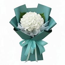 Букет цветов из:  Гортензия в Заболотье